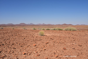 Steinwüste bei Palmwag